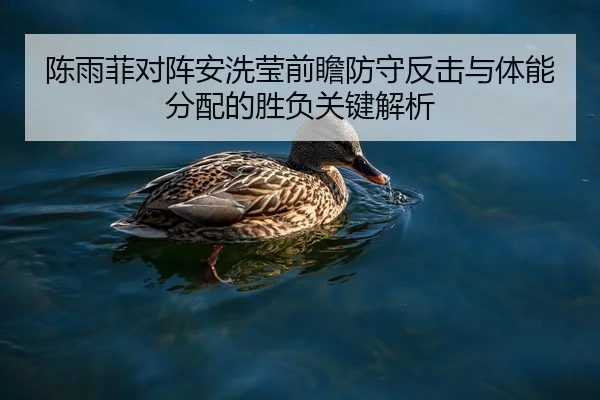 陈雨菲对阵安洗莹前瞻防守反击与体能分配的胜负关键解析