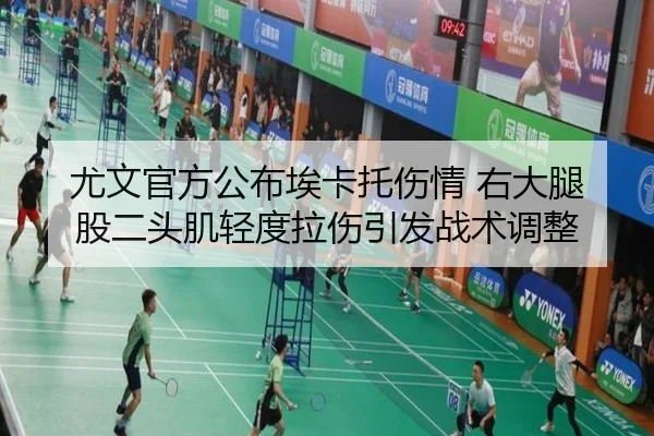尤文官方公布埃卡托伤情 右大腿股二头肌轻度拉伤引发战术调整 | HUAQIU.COMapp
